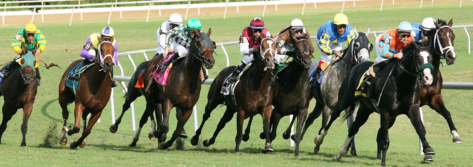 Horse Racing Picture 102519