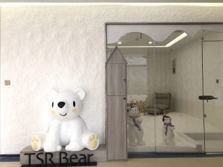 TSR Bear logo looking into a salt-covered room with a chaises and two polar bears décor facing out.