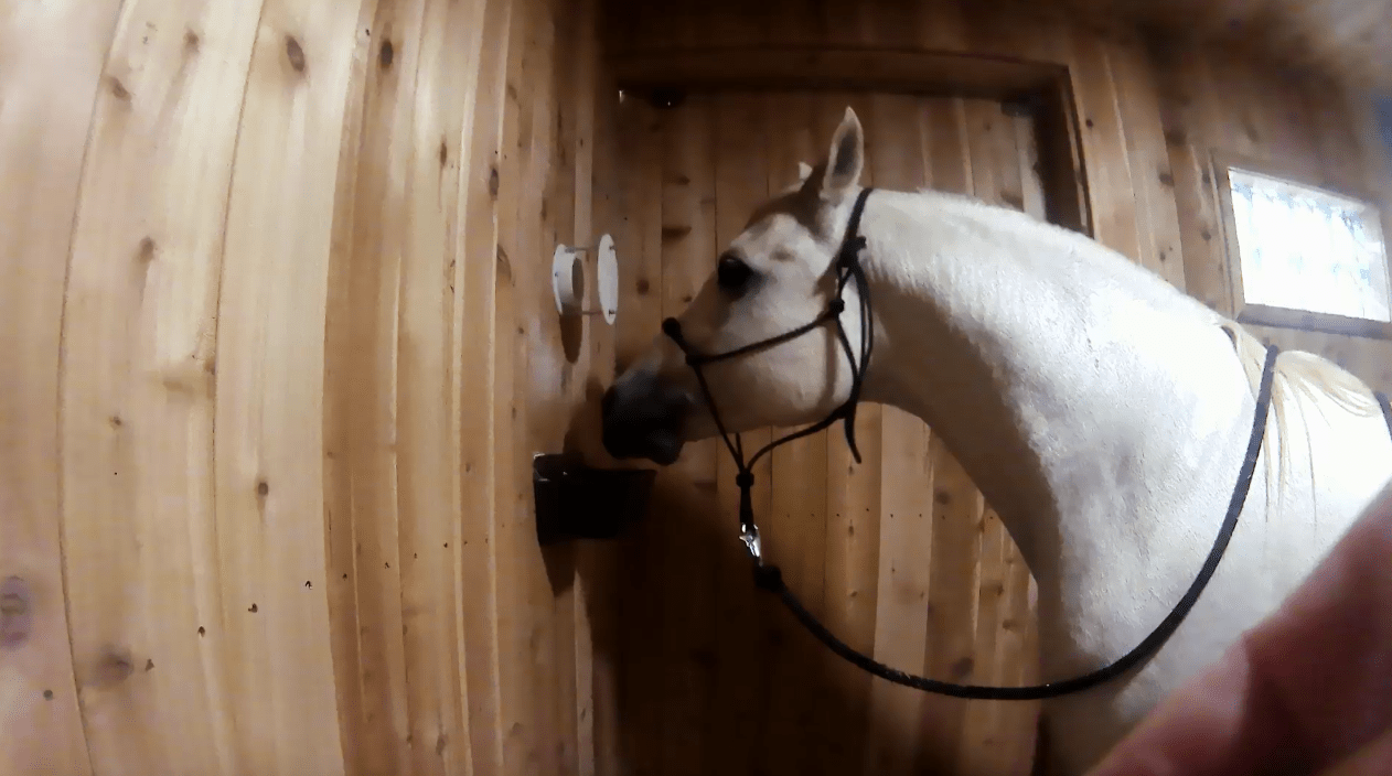 A White Horse Stands In A Wood Paneled Room As It Breathes In A Salt Therapy Treatment.