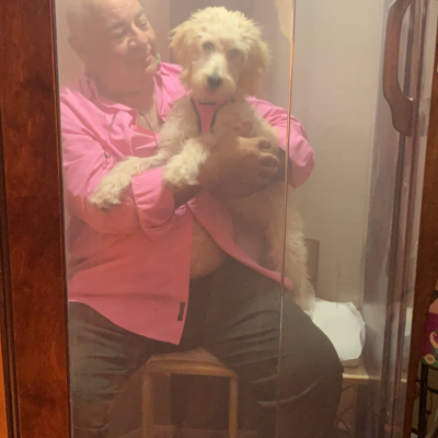 A Man In A Pink Shirt Holds His Dog While They Sit In A Salt Booth And Receive A Halotherapy Treatment