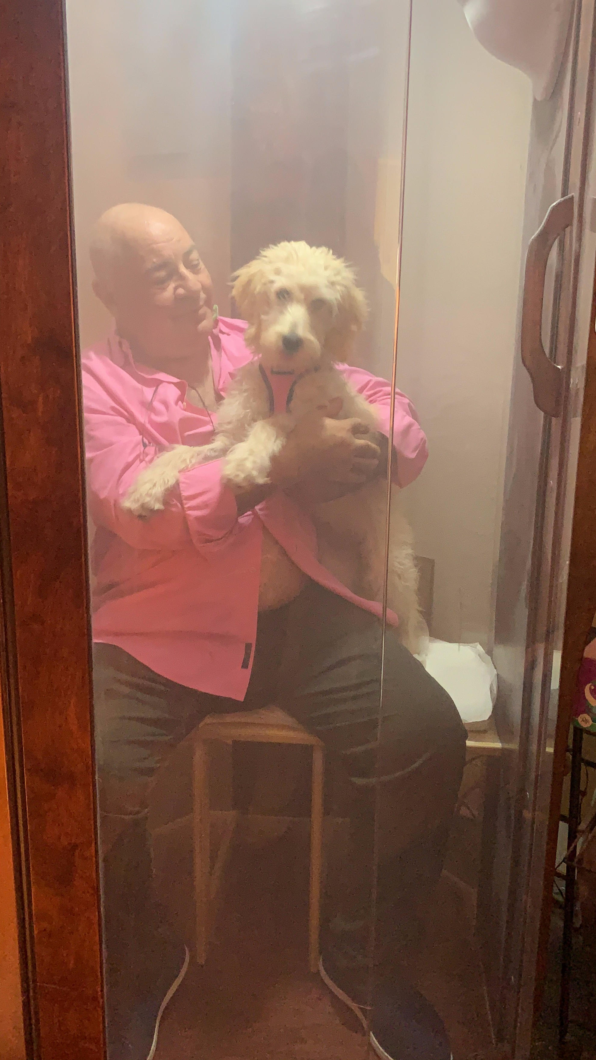 A Man In A Pink Shirt Holds His Dog While They Sit In A Salt Booth And Receive A Halotherapy Treatment