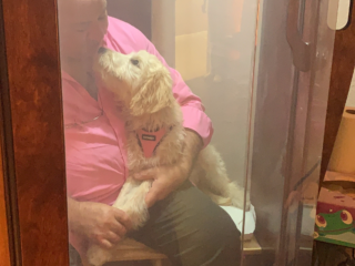 A Man Holding A Dog Receives A Halotherapy Treatment While Sitting In A Salt Booth