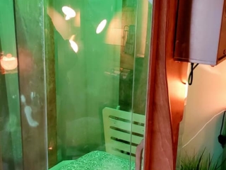 An Exterior View Of A Salt Booth With Green Overhead Lighting And Containers Of Halosalt On The Floor Beside It.