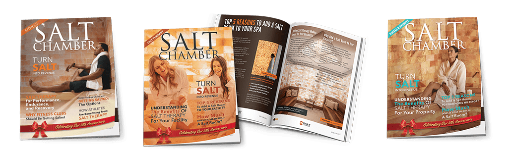 SALT Chamber Catalog cover image and spread