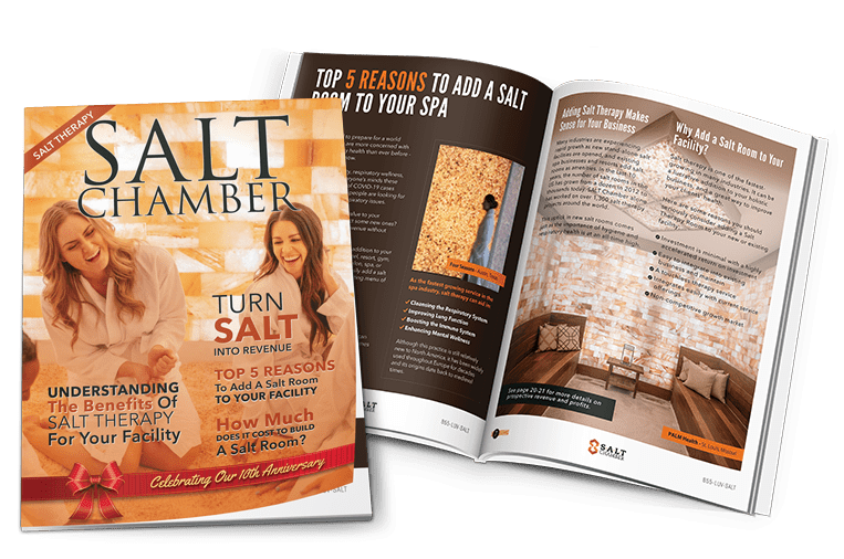 Salt Chamber Catalog Cover Image And Spread