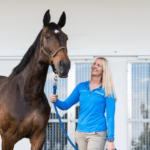 Equine Dry Salt Therapy at World Equestrian Center in Ocala, Florida