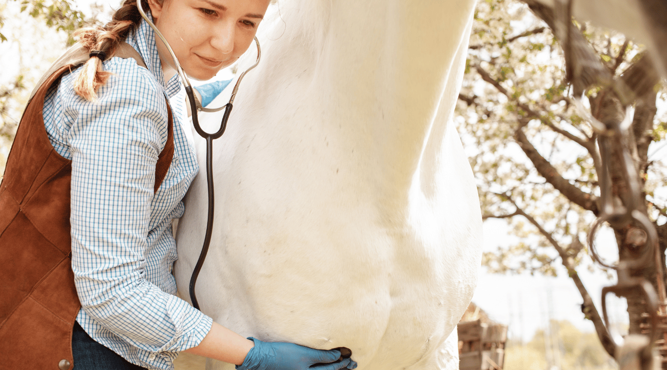 The Power of Salt Therapy for Managing Horses With Heaves | Salt Chamber